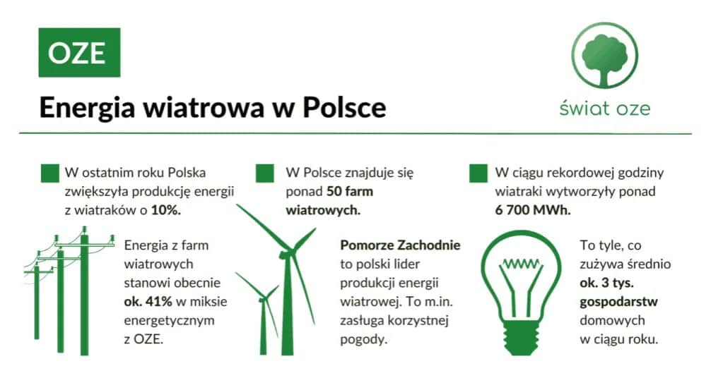Ile w Polsce jest elektrowni wiatrowych? Zaskakujące fakty i liczby