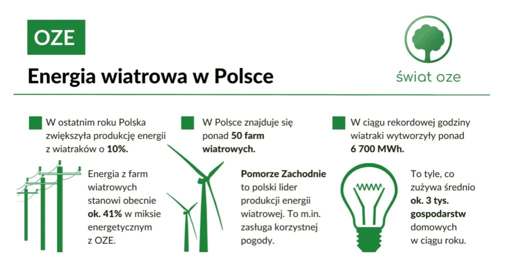 Ile w Polsce jest elektrowni wiatrowych? Zaskakujące fakty i liczby